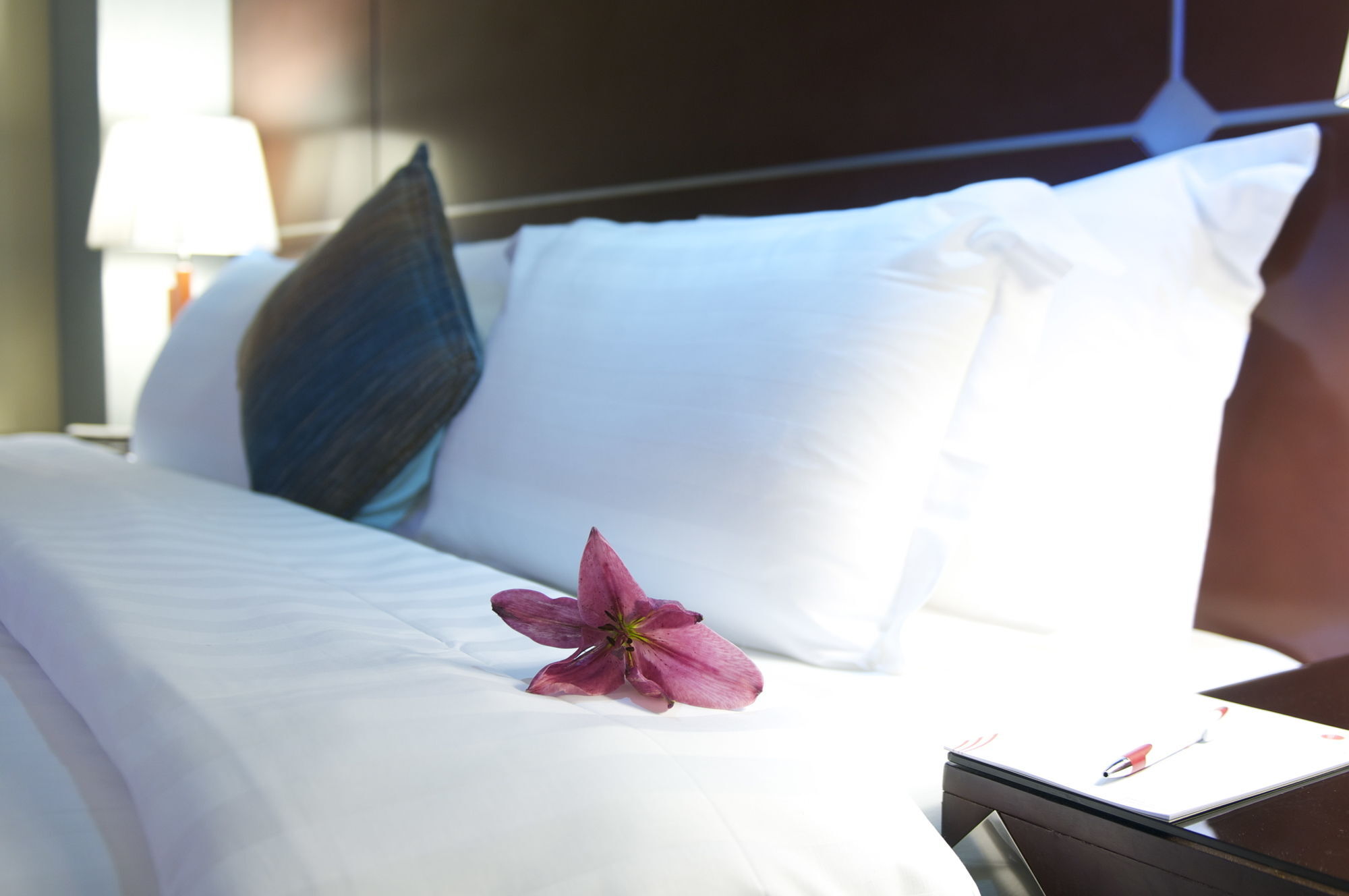 Sealamees Hotel Dżedda Zewnętrze zdjęcie