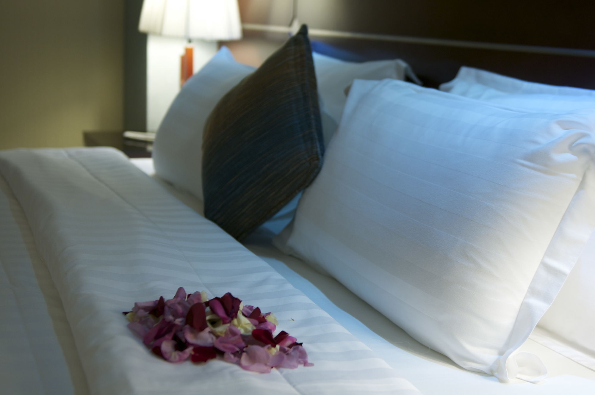 Sealamees Hotel Dżedda Zewnętrze zdjęcie